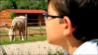 10 ans d'investissements CG83