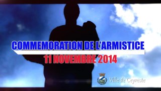 11 novembre 2014